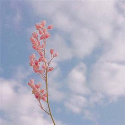 腾讯分分手机app下载