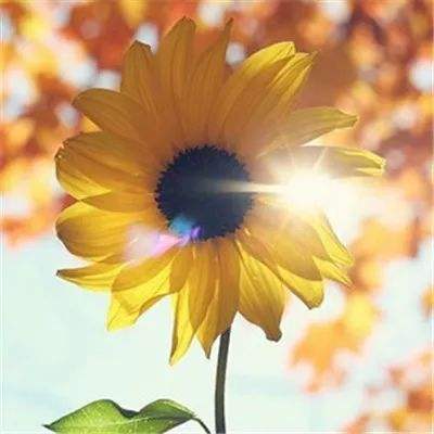 博鱼综合app官网登录